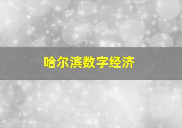 哈尔滨数字经济