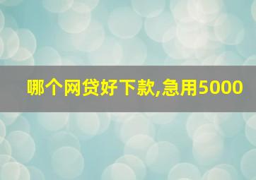 哪个网贷好下款,急用5000