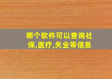 哪个软件可以查询社保,医疗,失业等信息