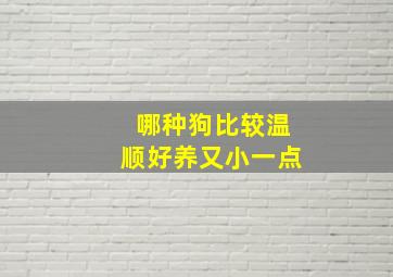 哪种狗比较温顺好养又小一点