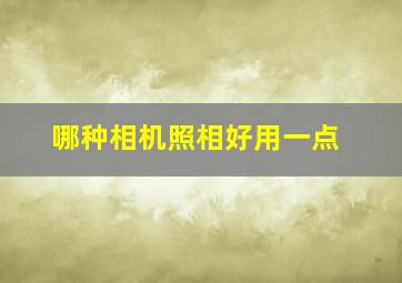 哪种相机照相好用一点