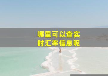 哪里可以查实时汇率信息呢