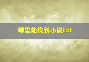 哪里能找到小说txt