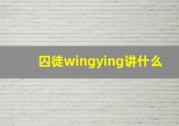 囚徒wingying讲什么