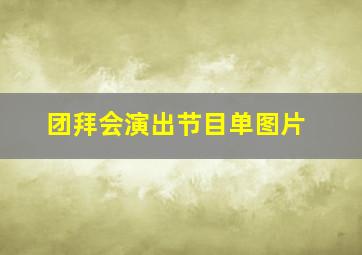 团拜会演出节目单图片