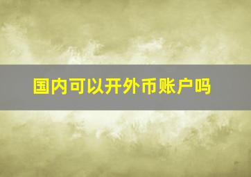 国内可以开外币账户吗