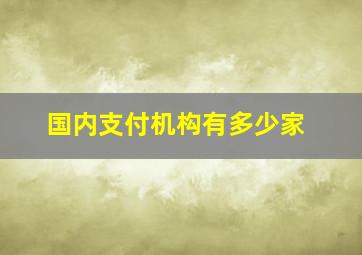 国内支付机构有多少家