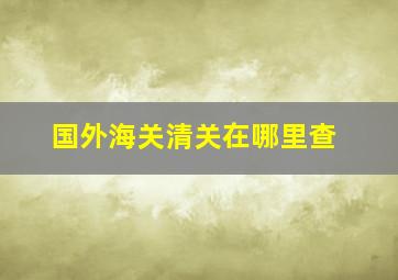 国外海关清关在哪里查