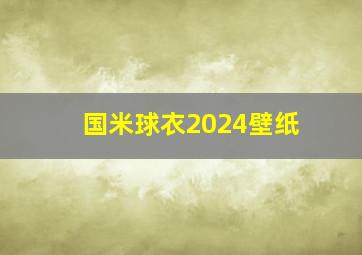 国米球衣2024壁纸