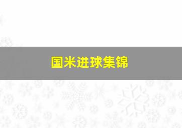 国米进球集锦