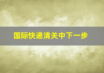 国际快递清关中下一步