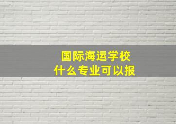 国际海运学校什么专业可以报