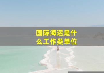 国际海运是什么工作类单位