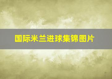 国际米兰进球集锦图片