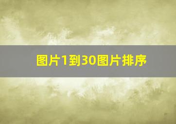 图片1到30图片排序