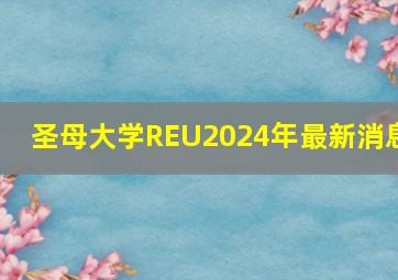 圣母大学REU2024年最新消息