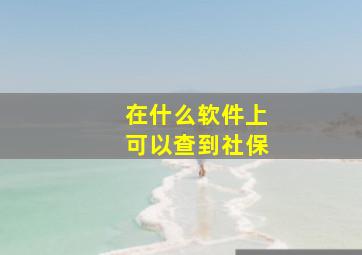 在什么软件上可以查到社保