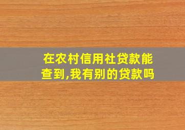 在农村信用社贷款能查到,我有别的贷款吗