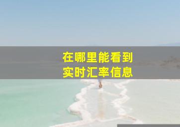 在哪里能看到实时汇率信息