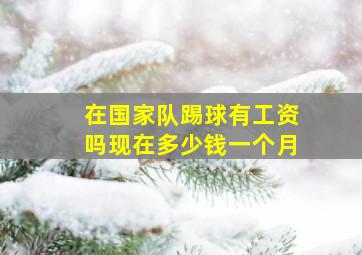 在国家队踢球有工资吗现在多少钱一个月