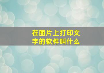 在图片上打印文字的软件叫什么