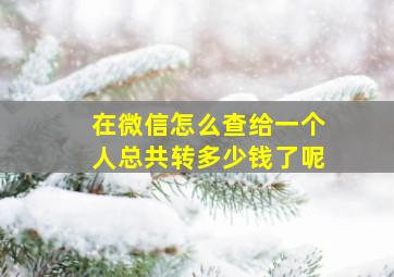 在微信怎么查给一个人总共转多少钱了呢