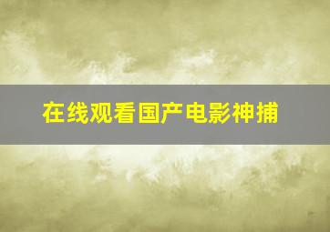 在线观看国产电影神捕