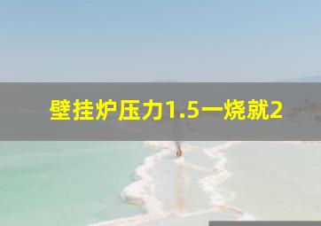 壁挂炉压力1.5一烧就2