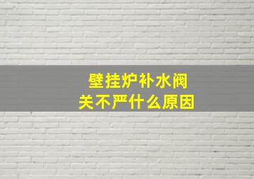 壁挂炉补水阀关不严什么原因