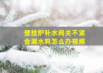 壁挂炉补水阀关不紧会漏水吗怎么办视频