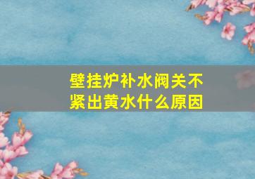 壁挂炉补水阀关不紧出黄水什么原因