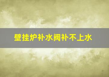 壁挂炉补水阀补不上水