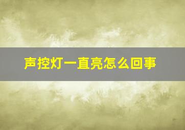 声控灯一直亮怎么回事