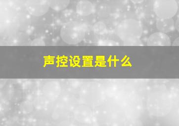 声控设置是什么