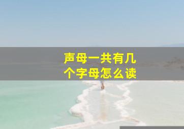 声母一共有几个字母怎么读