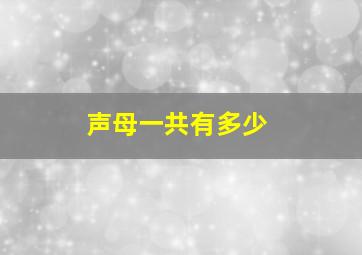 声母一共有多少