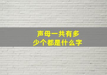 声母一共有多少个都是什么字