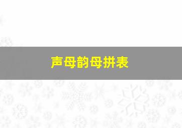 声母韵母拼表