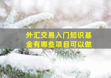 外汇交易入门知识基金有哪些项目可以做