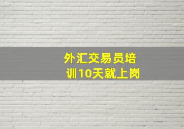 外汇交易员培训10天就上岗