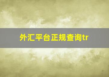 外汇平台正规查询tr