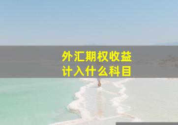 外汇期权收益计入什么科目