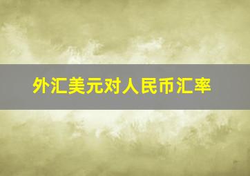 外汇美元对人民币汇率