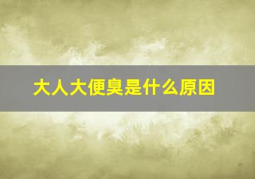 大人大便臭是什么原因