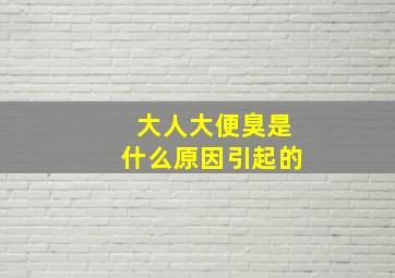 大人大便臭是什么原因引起的