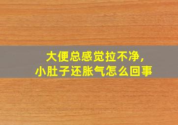 大便总感觉拉不净,小肚子还胀气怎么回事