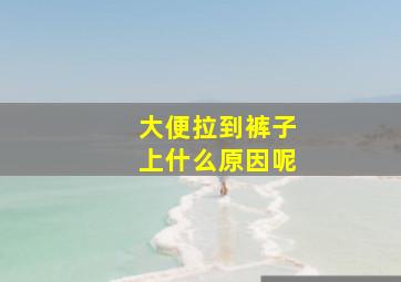 大便拉到裤子上什么原因呢