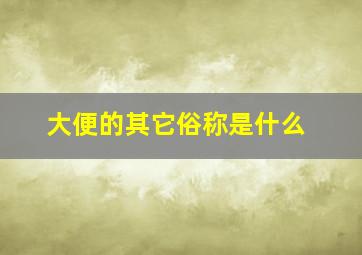 大便的其它俗称是什么