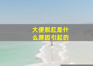 大便脱肛是什么原因引起的