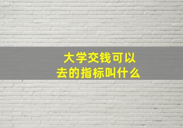 大学交钱可以去的指标叫什么